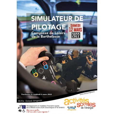 SIMULATEUR DE PILOTAGE