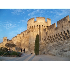 Visite guidée d'Avignon