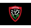 MATCH DE RUGBY TOULON / LA ROCHELLE AU STADE VELODROME